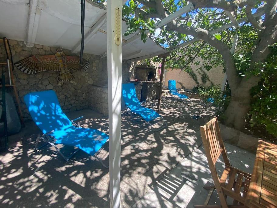 A L'Ombre Du Figuier ! Maisonnette Jardin / Parking / Proche Mer Фронтиньян Экстерьер фото