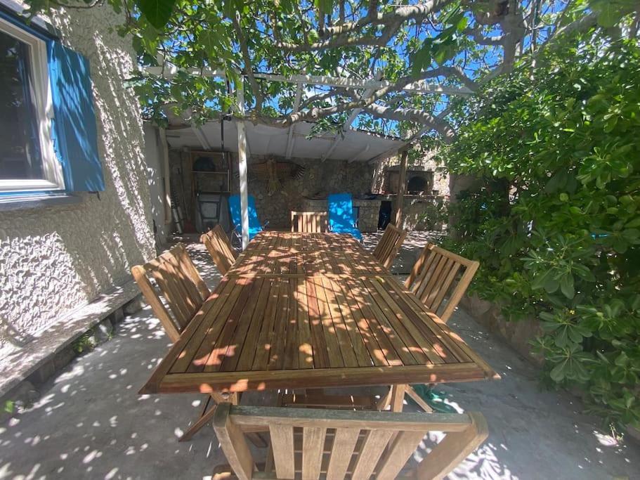 A L'Ombre Du Figuier ! Maisonnette Jardin / Parking / Proche Mer Фронтиньян Экстерьер фото